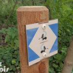 Balisage – Sentier des oiseaux