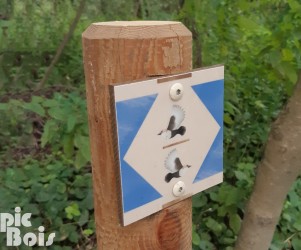 Balisage du sentier avec motifs d'oiseaux - PNR du Morvan