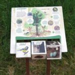 Mobilier interactif – Le boisement