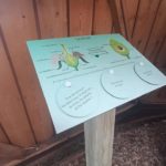 Mobilier interactif – Le fruit
