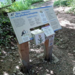 Mobilier interactif – Plantes invasives