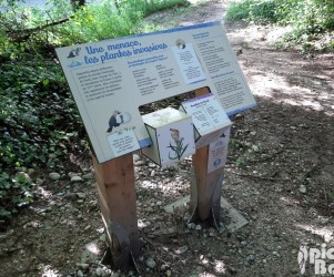 Mobilier interactifs avec cubes à tourner sur les plantes invasives - Sentier du Cincle