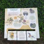 Mobilier interactif – Refuge
