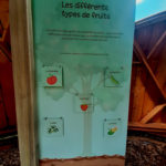 Mobilier interactif – Types de fruits
