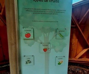Mobilier interactif – Types de fruits Mobilier interactif sur les types de fruits - Grand Nancy