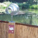 Parcours sensoriel – Ecouter la mare