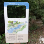 Parcours sensoriel – Observer le Dadon