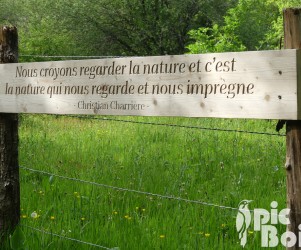 Plaque thématique de citation - PNR du Morvan