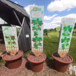 Plaque thématique – Plants de tomates