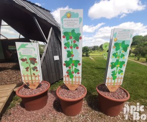 Plaques thématiques plants de tomates - Grand Nancy