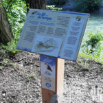 Table de lecture – Evolution rivière