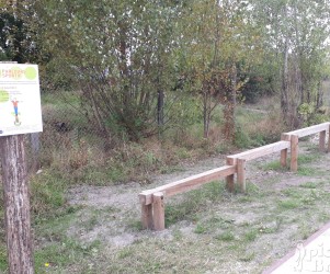 Agrès – poutre d’équilibre Bordeaux Agrès - poutre d'équilibre Bordeaux (33)