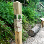 Mobilier interactif – clé en main arbres