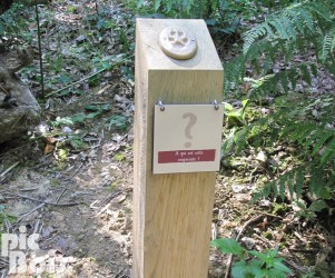 Le chemin des p'tits Korrigans du Zooparc