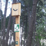 Gamme Biodiversité – Abri chauves souris