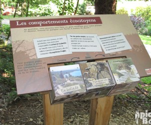 Pupitre avec BQR - Zoo de Trégomeur