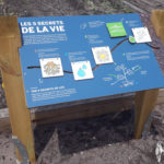 Panneau de jeu – Volets chemin