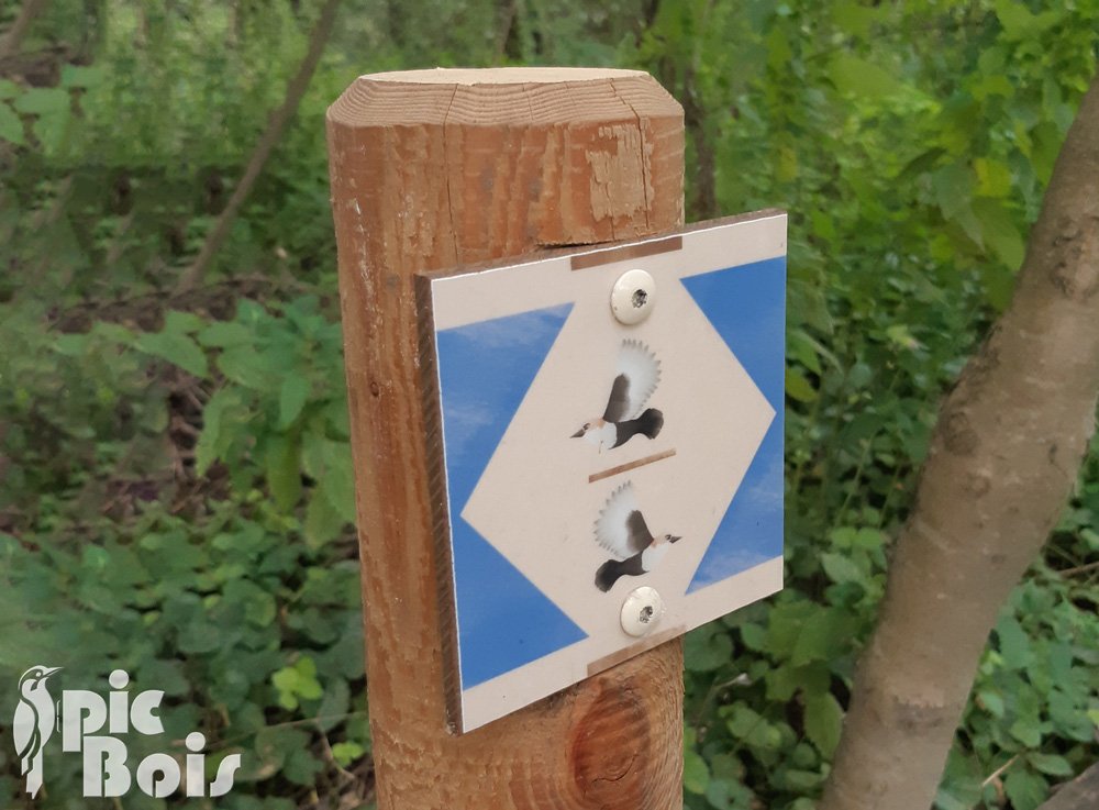 Balisage du sentier avec motifs d'oiseaux - PNR du Morvan