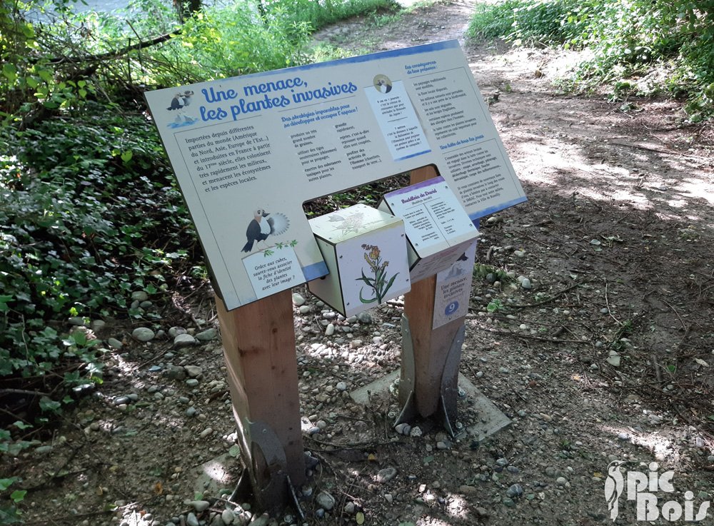 Mobilier interactifs avec cubes à tourner sur les plantes invasives - Sentier du Cincle