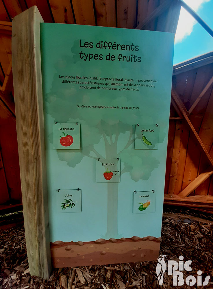 Mobilier interactif sur les types de fruits - Grand Nancy