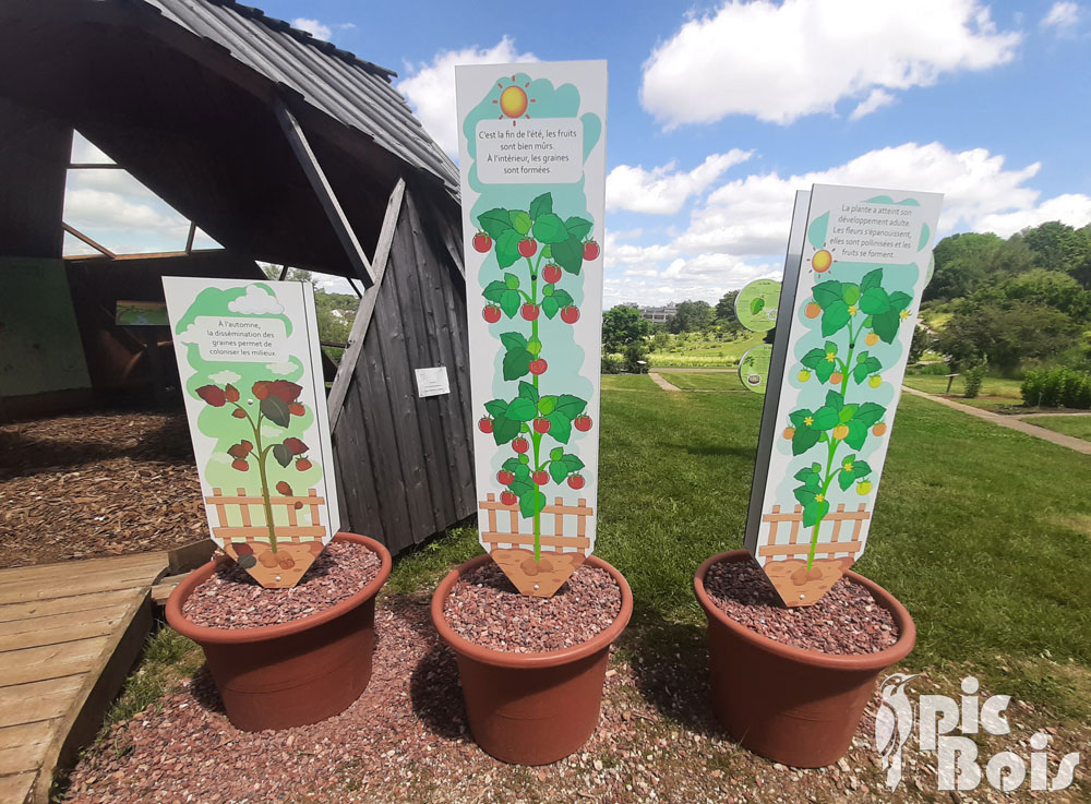 Plaques thématiques plants de tomates - Grand Nancy