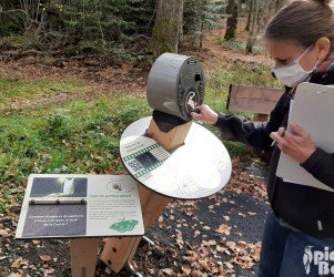 Signalétique touristique | Parcours sensoriel - Borne chauve-souris - Vic le Vicomte (63)