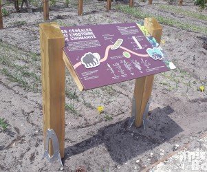 Signalétique camping | Table de lecture - Céréales - Center Parcs Les Landes de Gascogne