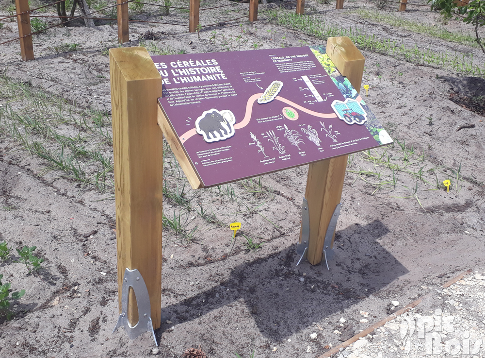 Signalétique camping | Table de lecture - Céréales - Center Parcs Les Landes de Gascogne