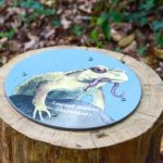 Balisage – Crapaud Commun