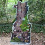 Mobilier interactif  Arbre mort