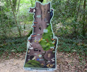 Signalétique touristique | Mobilier interactif- Arbre mort