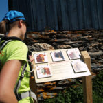 Mobilier interactif – Les vaches