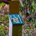 Mobilier interactif – Renard