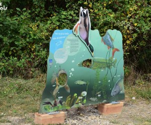 Signalétique touristique | Panneau de jeu - Tête de poisson