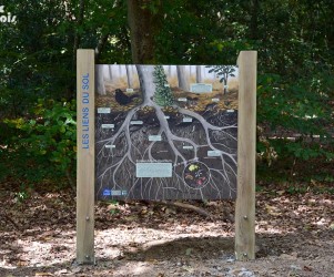 Panneau d’information – Les liens du sol Signalétique touristique | Panneau d'information - Les liens du sol