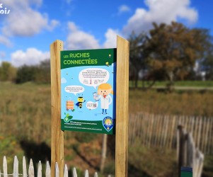 Signalétique touristique | Panneau d'information - Les ruches