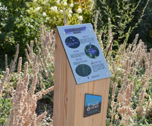 Signalétique touristique | Plaque arboretum - La petite Pervenche - Satolas Parc des Lurons (38)