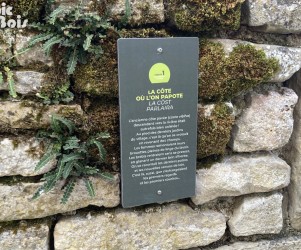 Signalétique de randonnée pédestre | Plaque thématique - La côte - Lacapelle - Livron-82