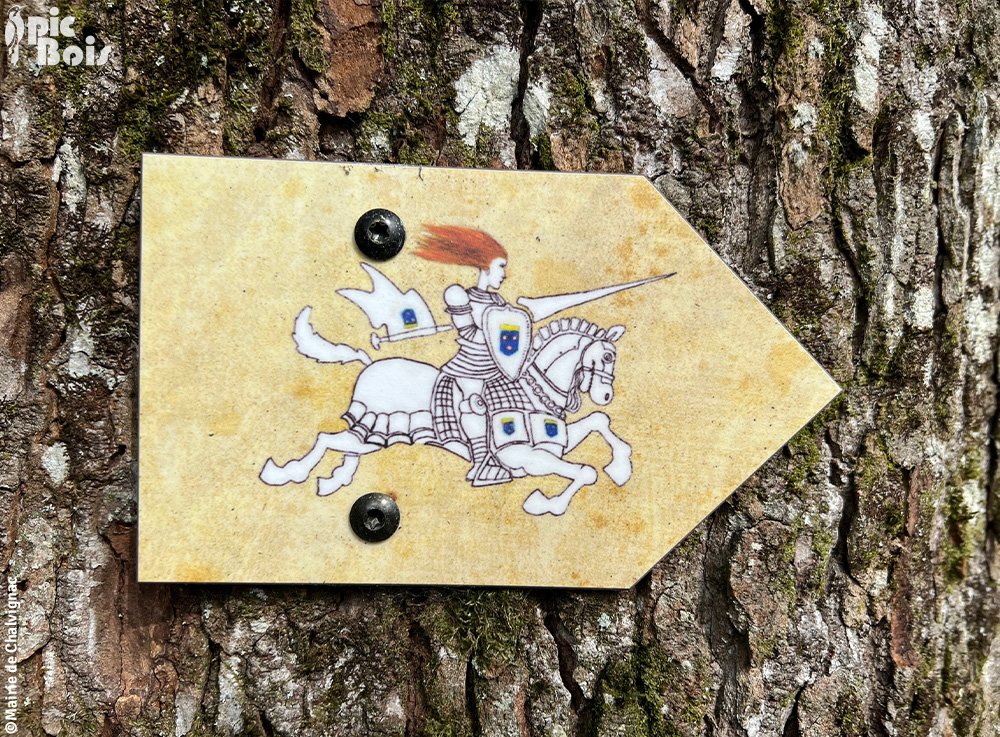 Signalétique de randonnée pédestre | Directionnel sentier - Cavalière Madeleine - 15 Chalvignac