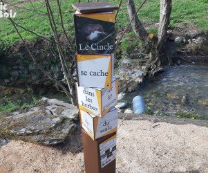 Signalétique touristique | Mobilier interactif - Le Cincle - Osse-en-Aspe