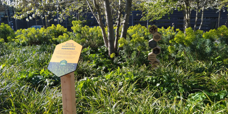 Pupitre et hôtel à insectes Gamme Biodiversité