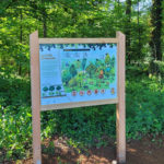 Panneau d’information – Forêt Ardennaise