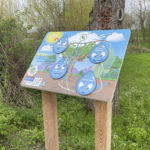 Mobilier interactif – L’arbre et l’eau