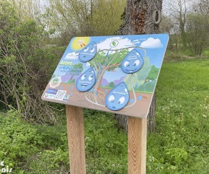 Signalétique touristique | Mobilier interactif - L'arbre et l'eau - ENS du Grand Rozeau
