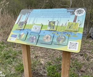 Signalétique touristique | Mobilier interactif - Milieu aquatique - ENS du Grand Rozeau