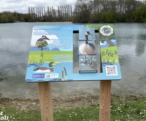 Signalétique touristique | Mobilier interactif - Oiseaux d'eau - ENS du Grand Rozeau