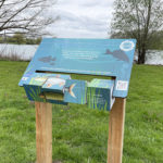 Mobilier interactif – Poissons du lac