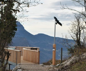 Signalétique touristique | Silhouette - Aigle - Sentier de Chalais (38)