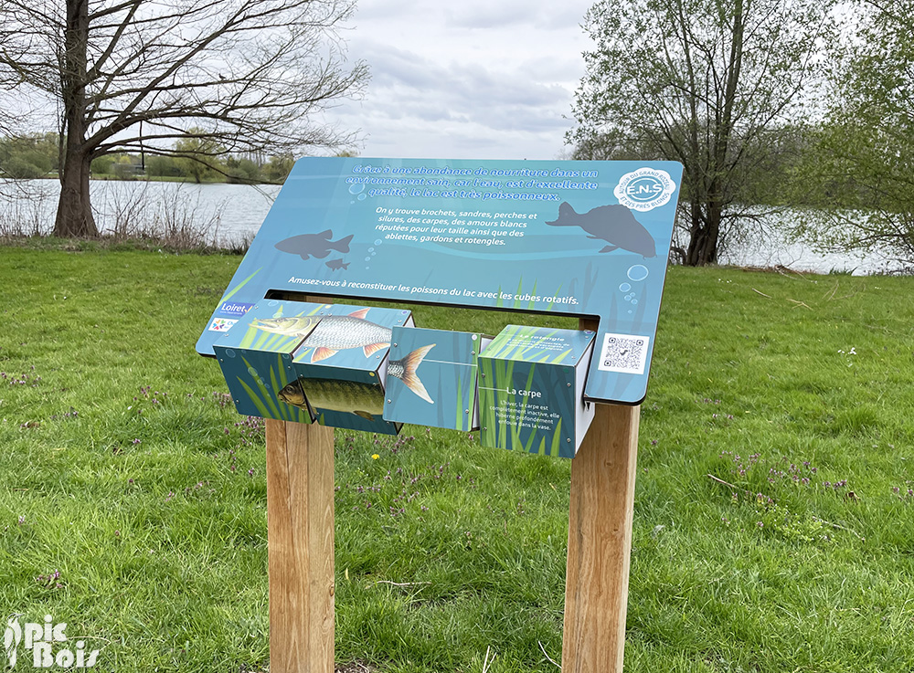 Signalétique touristique | Mobilier interactif - Poissons du lac- ENS du Grand Rozeau