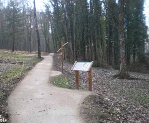 Signalétique touristique - Table de lecture - Informations forêt - Fabrication PIC BOIS